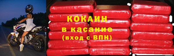 индика Абинск