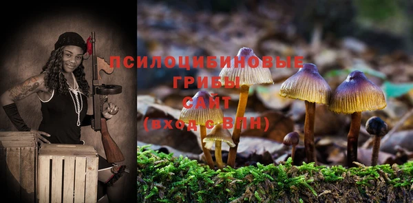 героин Абаза