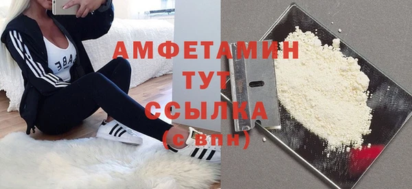 индика Абинск