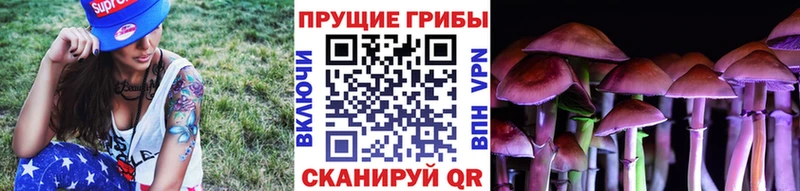 нарко площадка телеграм Каменка Псилоцибиновые грибы GOLDEN TEACHER купить сайты